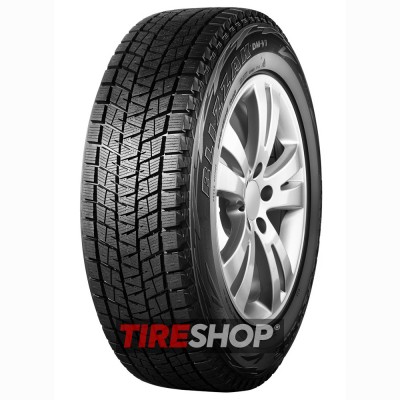 Bridgestone Blizzak DM-V1