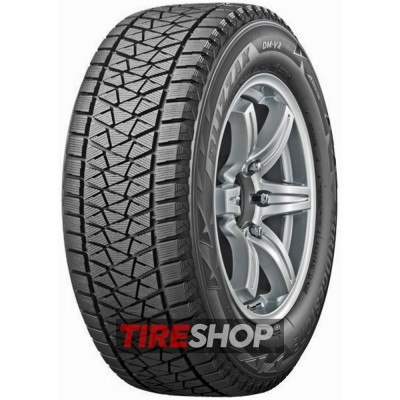 Шины Bridgestone Blizzak DM-V2