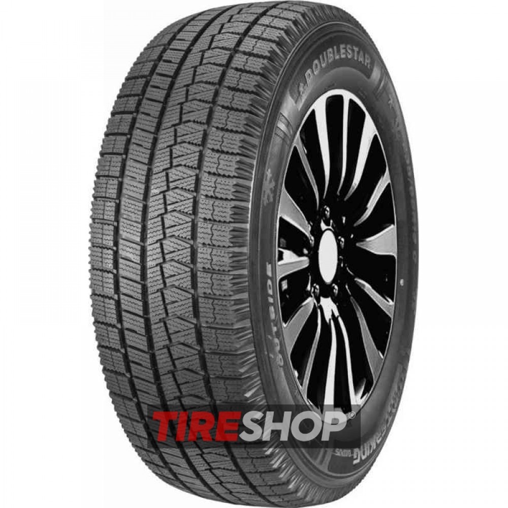 Зимние шины Doublestar WINTERKING DW05 width=