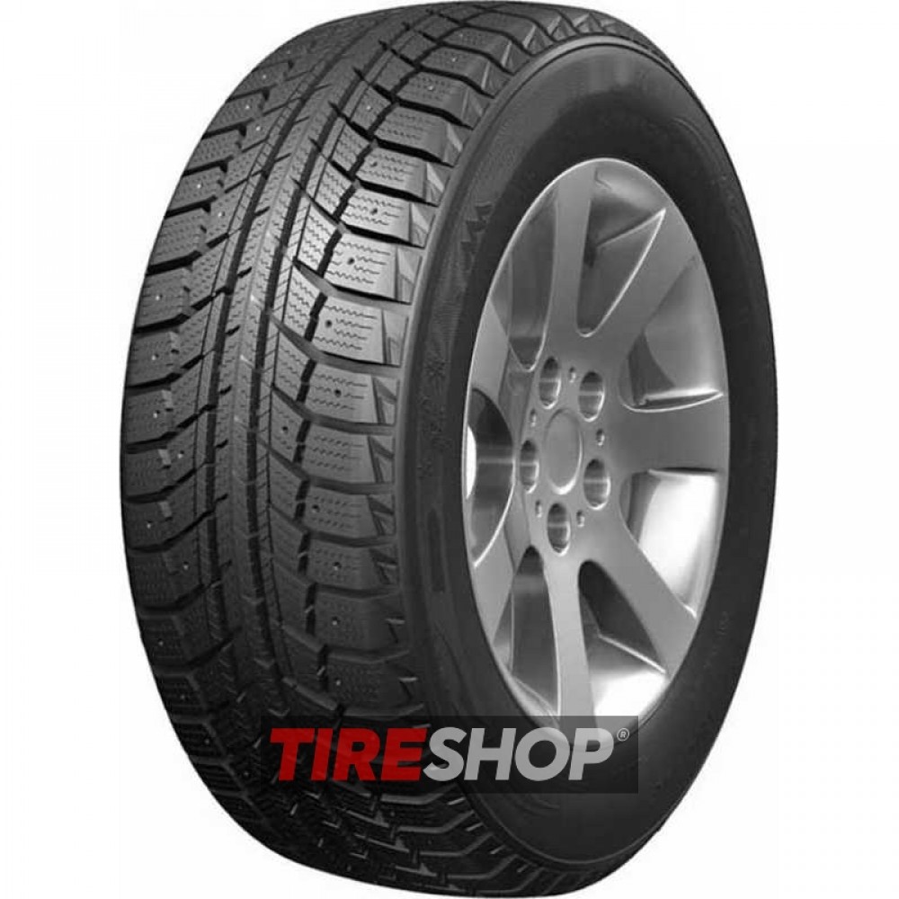 Зимние шины Doublestar WINTERKING DW07 width=