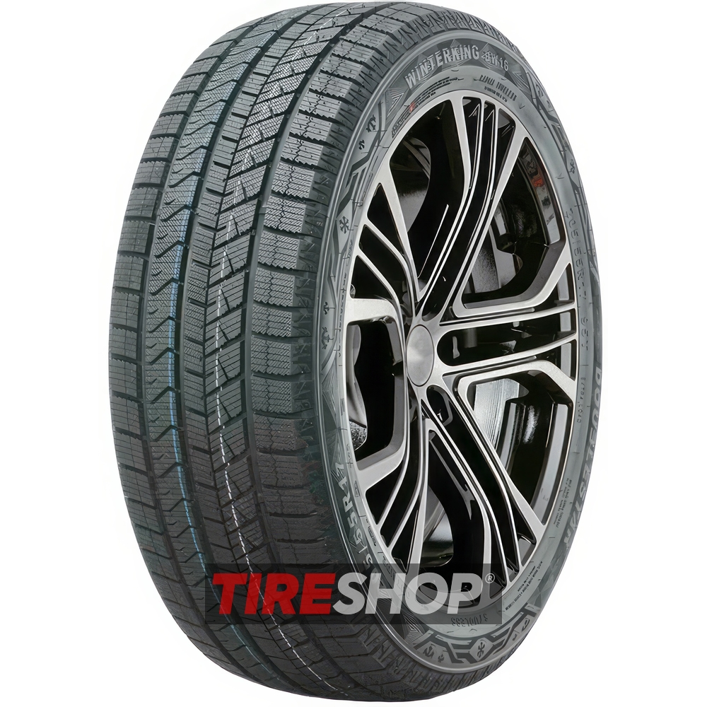 Зимние шины Doublestar WINTERKING DW16 width=