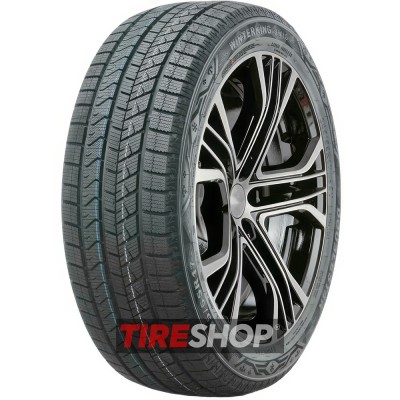 Doublestar WINTERKING DW16