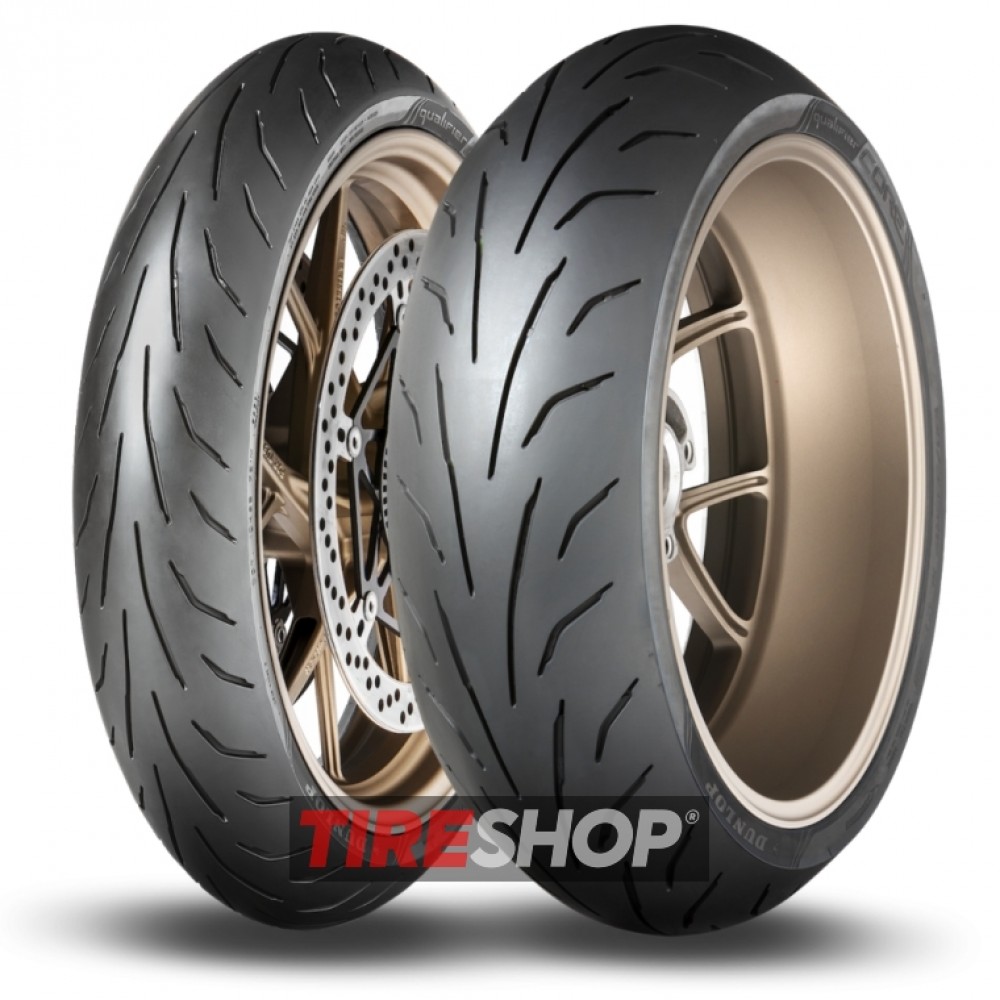 Летние мотошины Dunlop QUALIFIER CORE 160/60 R17 69W width=