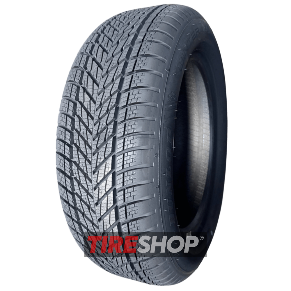 Зимние шины Dunlop Winter width=