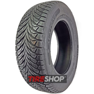 Шины Fortune FITCLIME FSR-401 205/60 R16 96V XL