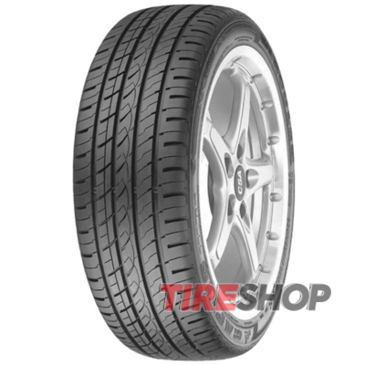 Шины Hercules Raptis WR1 205/45 R17 88W XL