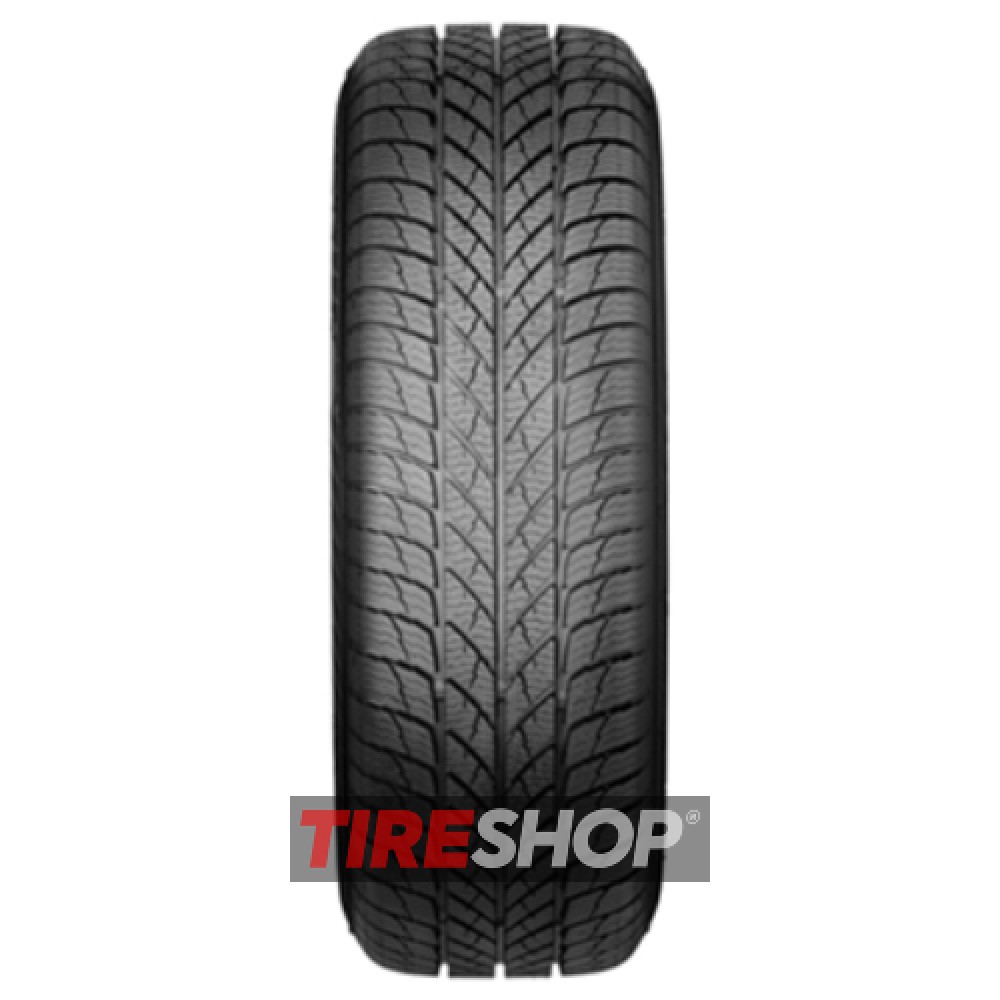 Зимние шины Paxaro INVERNO 225/45 R18 95V XL width=