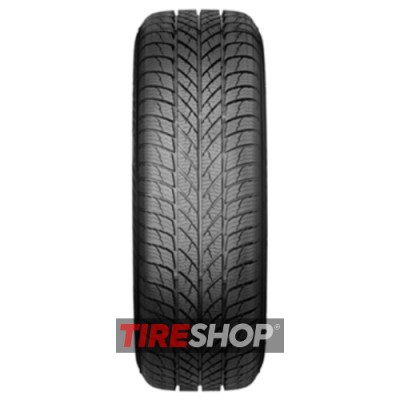 Шины Paxaro INVERNO 215/50 R17 95V XL FR