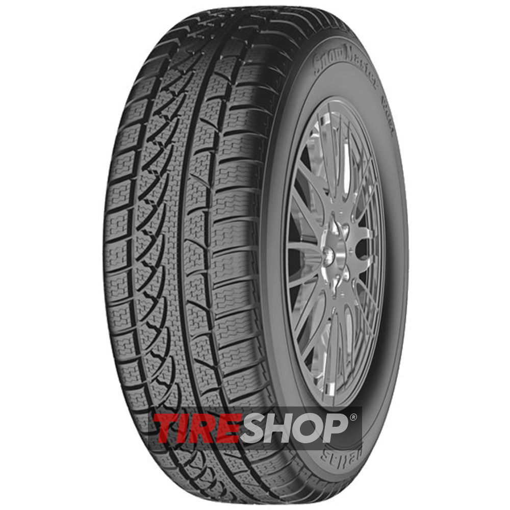 Зимние шины Petlas Snow Master W651 255/40 R19 100V XL width=