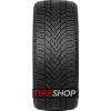 Зимние шины Arivo Winmaster ProX ARW3 225/55 R17 101H XL - Фото 2