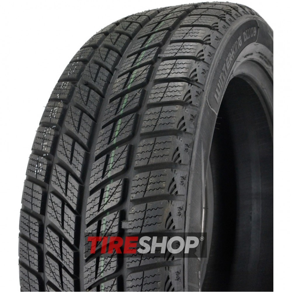 Зимние шины Doublestar WINTERKING DW09 - Фото 2 width=