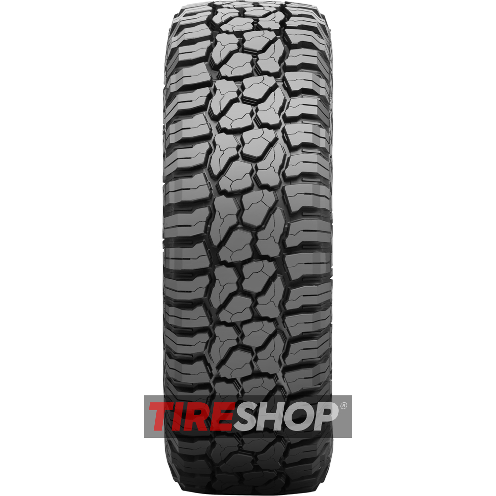 Всесезонные шины Falken Wildpeak R/T RT01 - Фото 2 width=